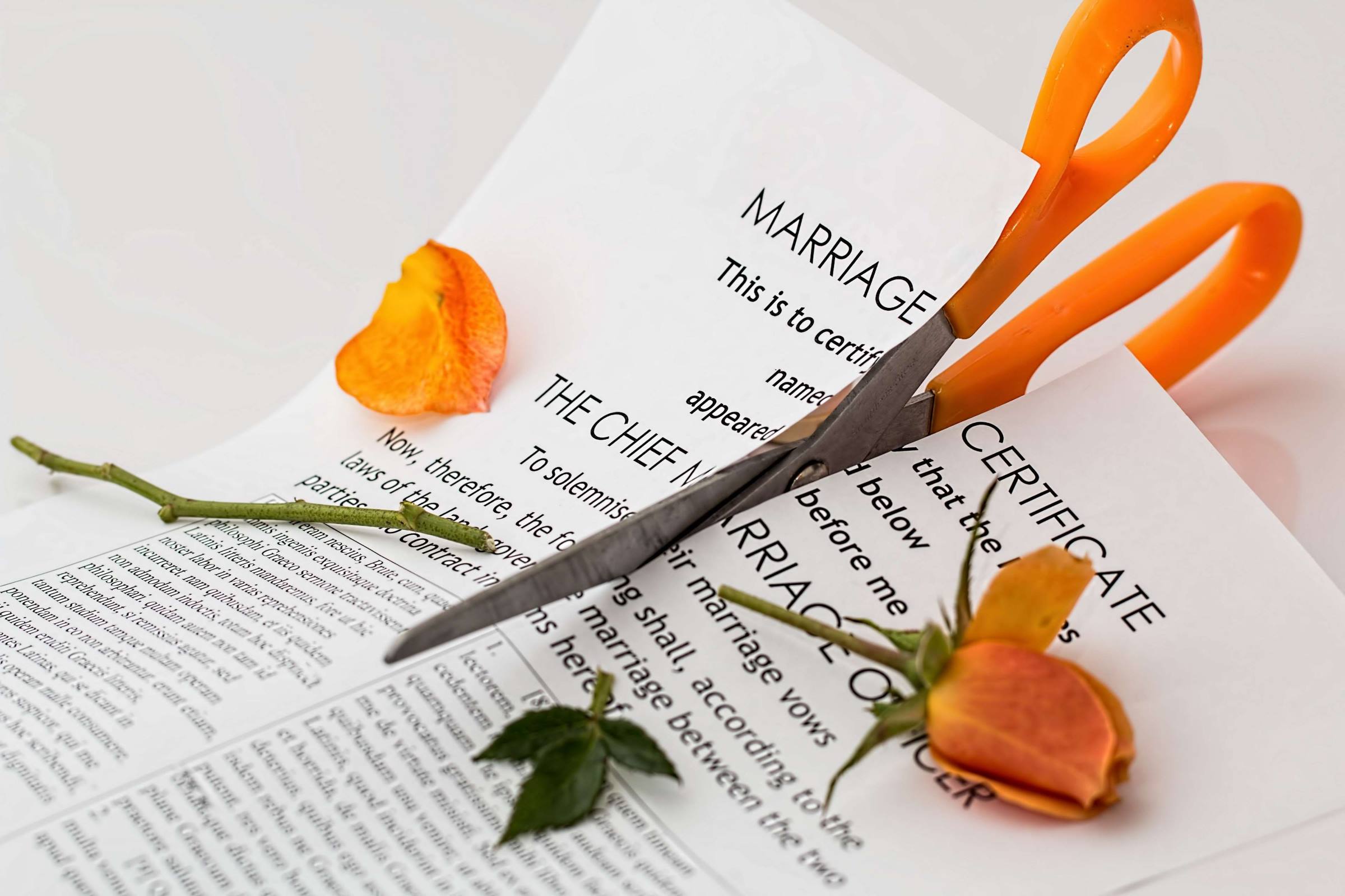 how-much-does-a-divorce-cost-in-massachusetts-amaral-associates-p-c
